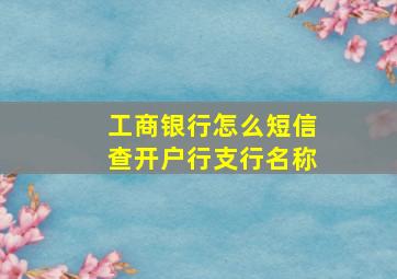 工商银行怎么短信查开户行支行名称