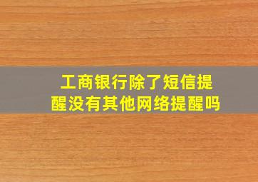 工商银行除了短信提醒没有其他网络提醒吗