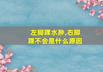 左脚踝水肿,右脚踝不会是什么原因