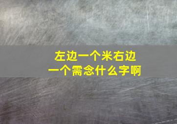 左边一个米右边一个需念什么字啊