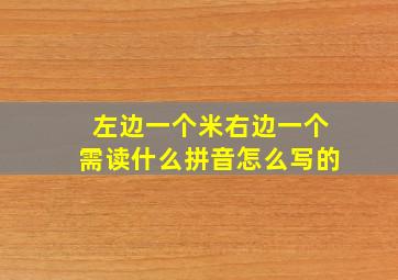 左边一个米右边一个需读什么拼音怎么写的