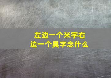 左边一个米字右边一个臭字念什么