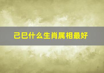 己巳什么生肖属相最好