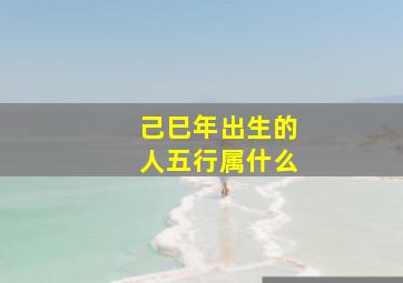 己巳年出生的人五行属什么