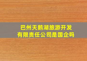 巴州天鹅湖旅游开发有限责任公司是国企吗