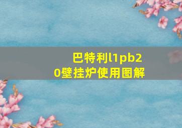 巴特利l1pb20壁挂炉使用图解