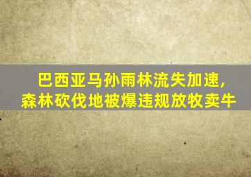 巴西亚马孙雨林流失加速,森林砍伐地被爆违规放牧卖牛