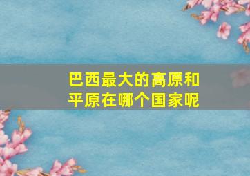 巴西最大的高原和平原在哪个国家呢