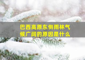 巴西高原东侧雨林气候广阔的原因是什么