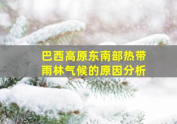 巴西高原东南部热带雨林气候的原因分析