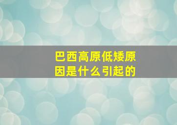 巴西高原低矮原因是什么引起的