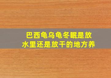 巴西龟乌龟冬眠是放水里还是放干的地方养