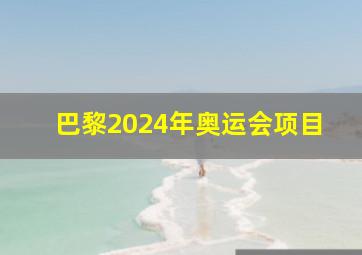 巴黎2024年奥运会项目