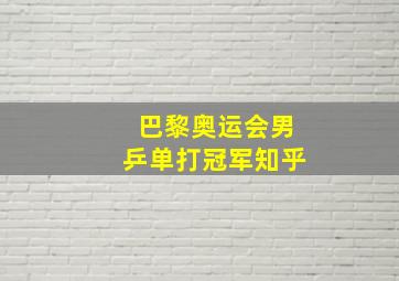 巴黎奥运会男乒单打冠军知乎