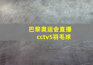 巴黎奥运会直播cctv5羽毛球