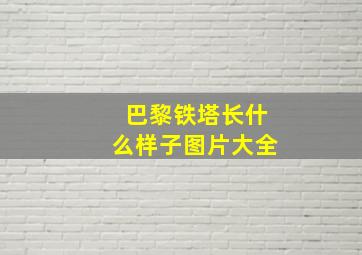 巴黎铁塔长什么样子图片大全