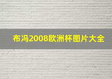 布冯2008欧洲杯图片大全