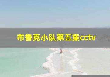 布鲁克小队第五集cctv