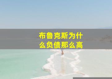 布鲁克斯为什么负债那么高