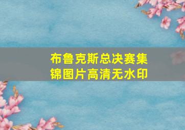 布鲁克斯总决赛集锦图片高清无水印