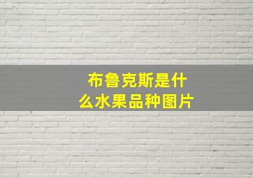 布鲁克斯是什么水果品种图片