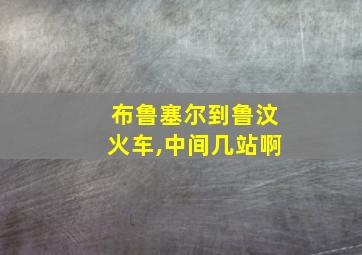 布鲁塞尔到鲁汶火车,中间几站啊