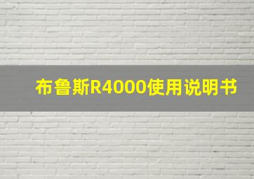 布鲁斯R4000使用说明书