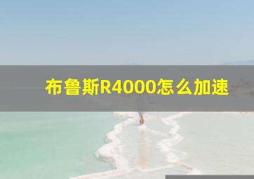 布鲁斯R4000怎么加速