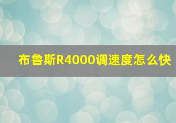 布鲁斯R4000调速度怎么快