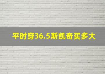 平时穿36.5斯凯奇买多大