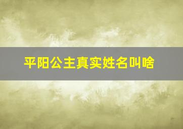 平阳公主真实姓名叫啥