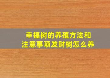 幸福树的养殖方法和注意事项发财树怎么养