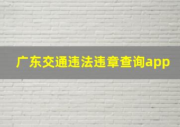 广东交通违法违章查询app