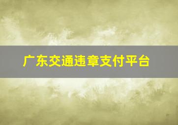 广东交通违章支付平台