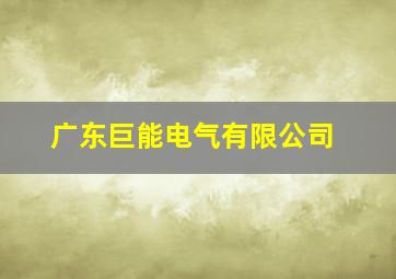 广东巨能电气有限公司