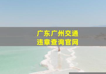 广东广州交通违章查询官网