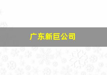 广东新巨公司