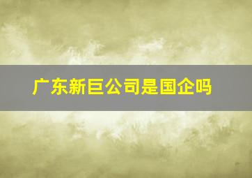 广东新巨公司是国企吗