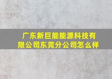 广东新巨能能源科技有限公司东莞分公司怎么样