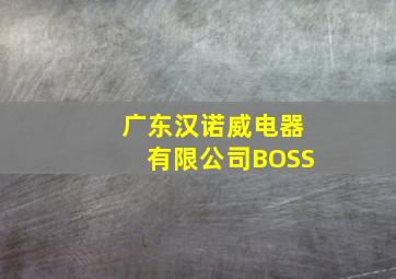 广东汉诺威电器有限公司BOSS