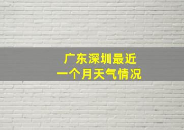 广东深圳最近一个月天气情况