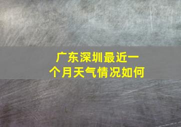 广东深圳最近一个月天气情况如何