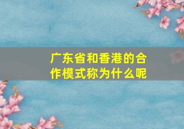 广东省和香港的合作模式称为什么呢