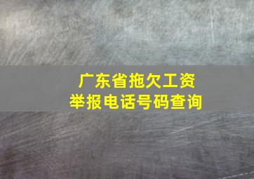 广东省拖欠工资举报电话号码查询