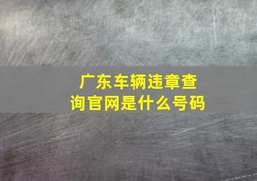 广东车辆违章查询官网是什么号码