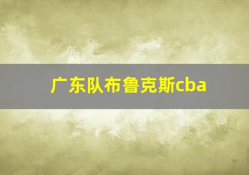 广东队布鲁克斯cba