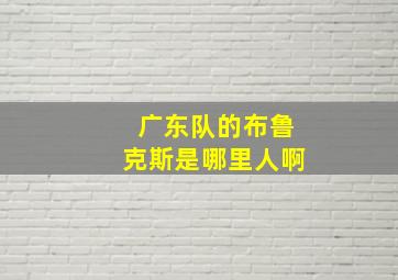 广东队的布鲁克斯是哪里人啊