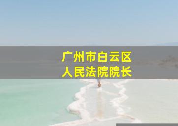 广州市白云区人民法院院长