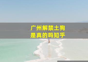 广州解禁土狗是真的吗知乎