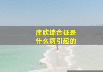 库欣综合征是什么病引起的